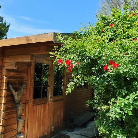 La Cabane Du Pesquier En Provence Caumont-sur-Durance المظهر الخارجي الصورة