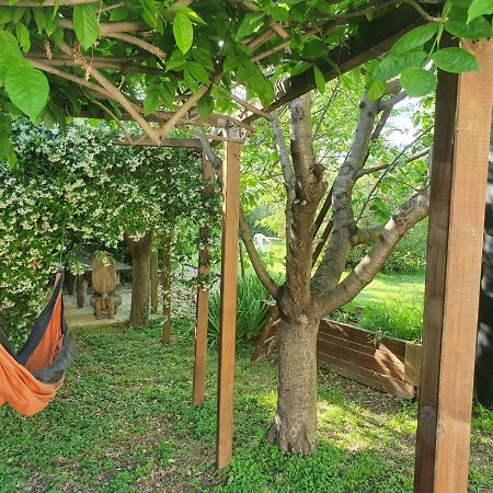 La Cabane Du Pesquier En Provence Caumont-sur-Durance المظهر الخارجي الصورة