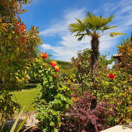 La Cabane Du Pesquier En Provence Caumont-sur-Durance المظهر الخارجي الصورة