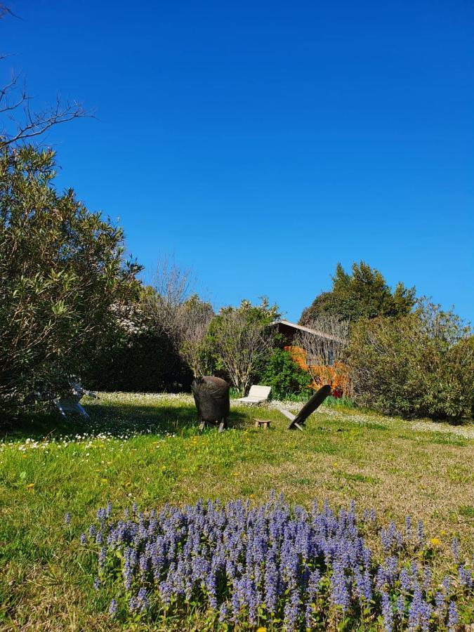La Cabane Du Pesquier En Provence Caumont-sur-Durance المظهر الخارجي الصورة